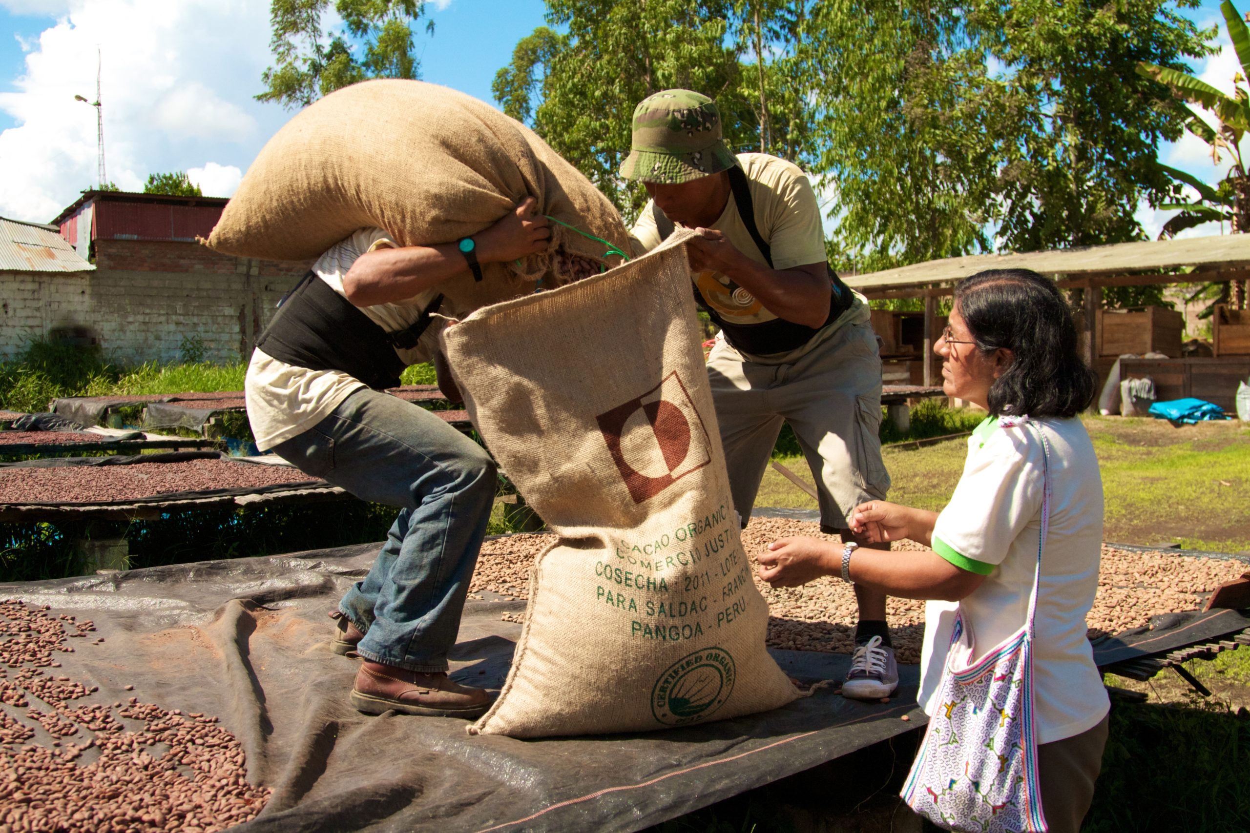 Esperanza supervisa a los empleados de Pangoa que preparan sacos de cacao seco.