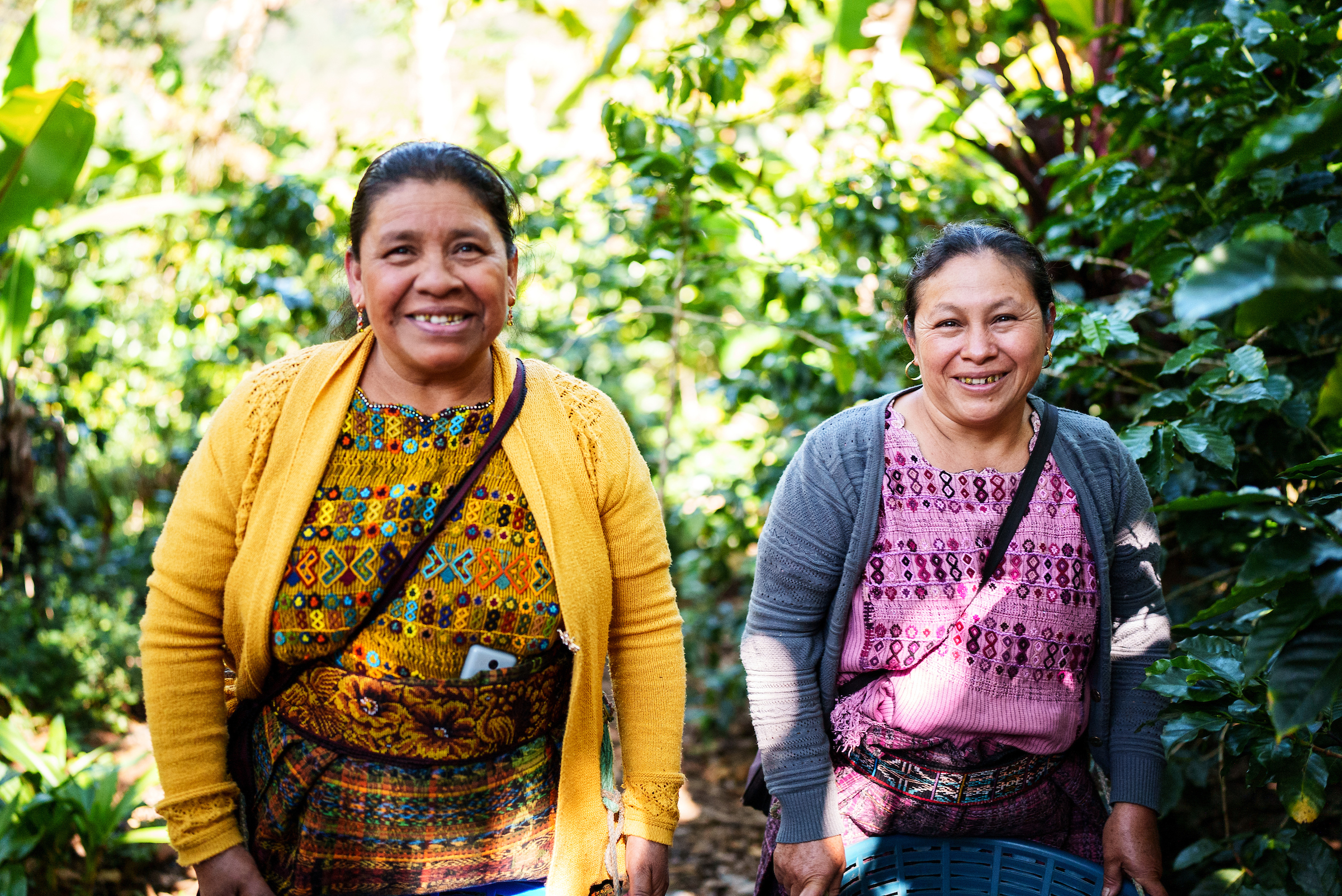 This photo was taken on a 2022 WAI trip to Guatemala. Credit: Root Capital/Adam Finch