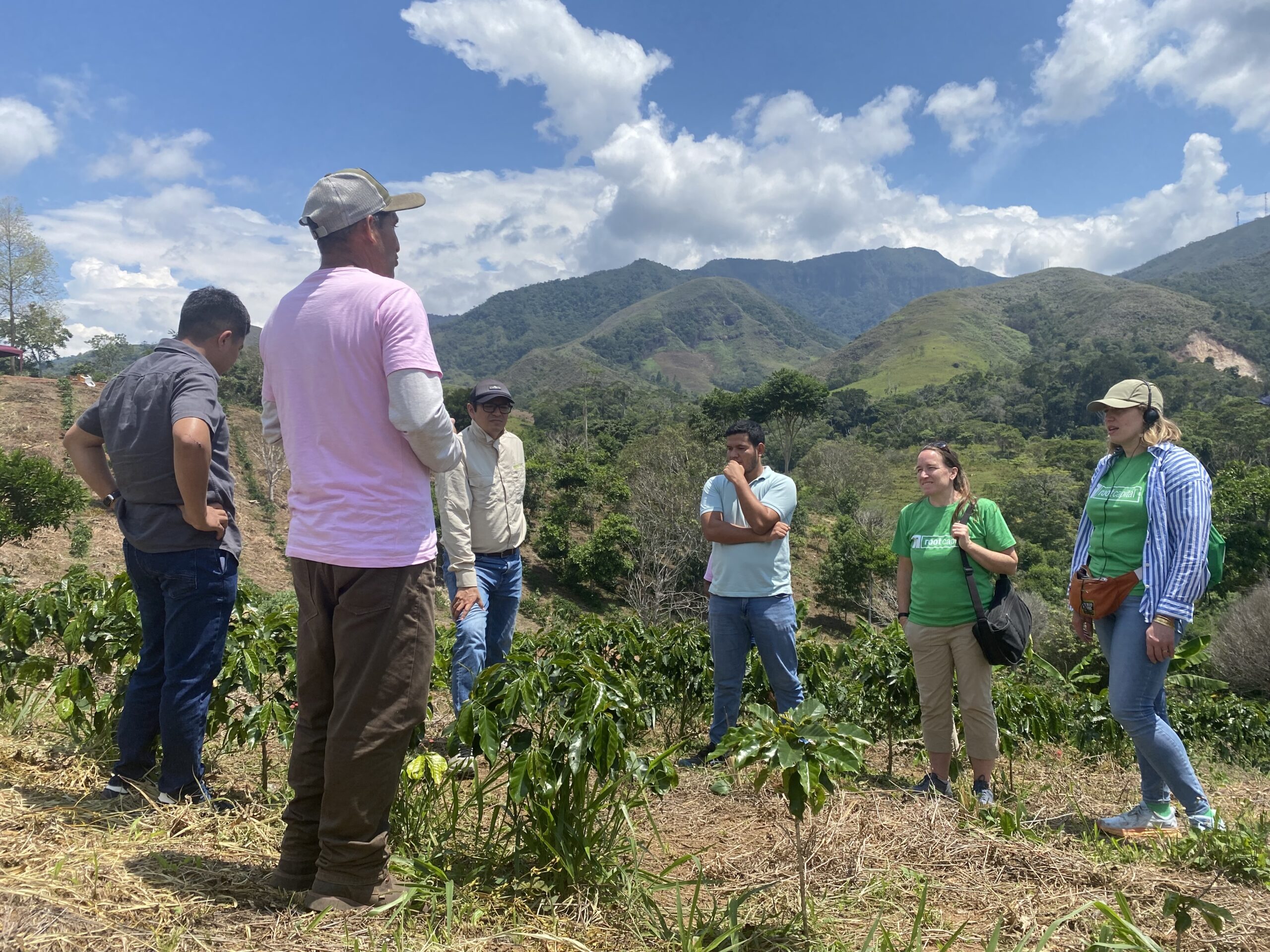 Root Capital staff take a tour of a Peruvian client’s coffee crops. Credit: Root Capital