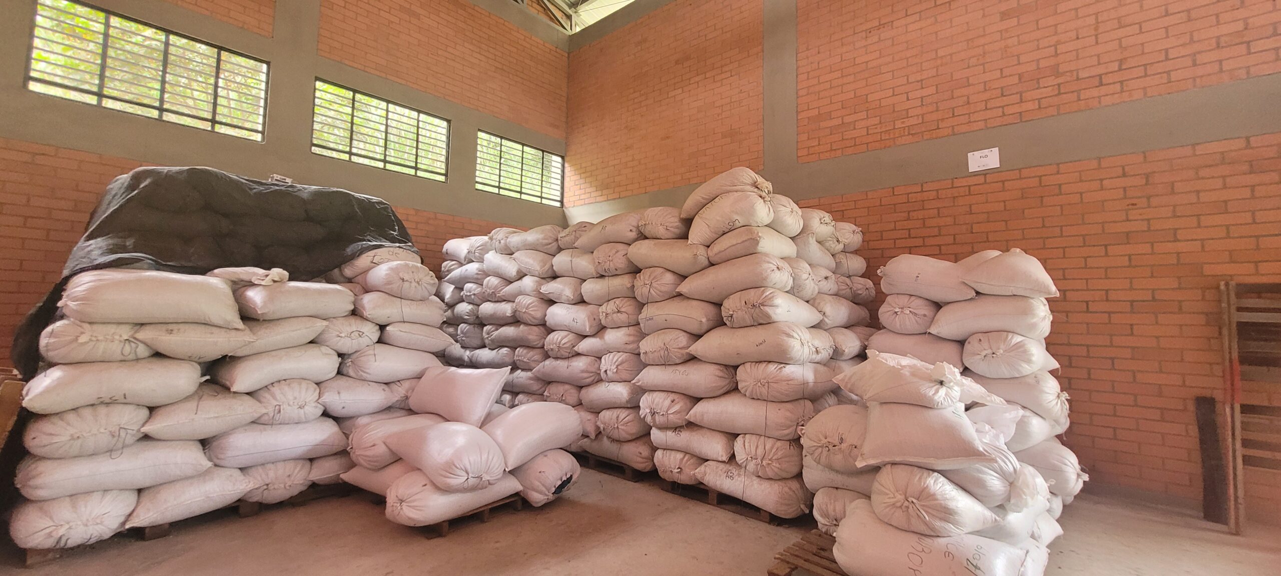 Parchment coffee awaits shipment to a processing plant at an ASOPEP warehouse in Planadas, Colombia. Credit: Root Capital.