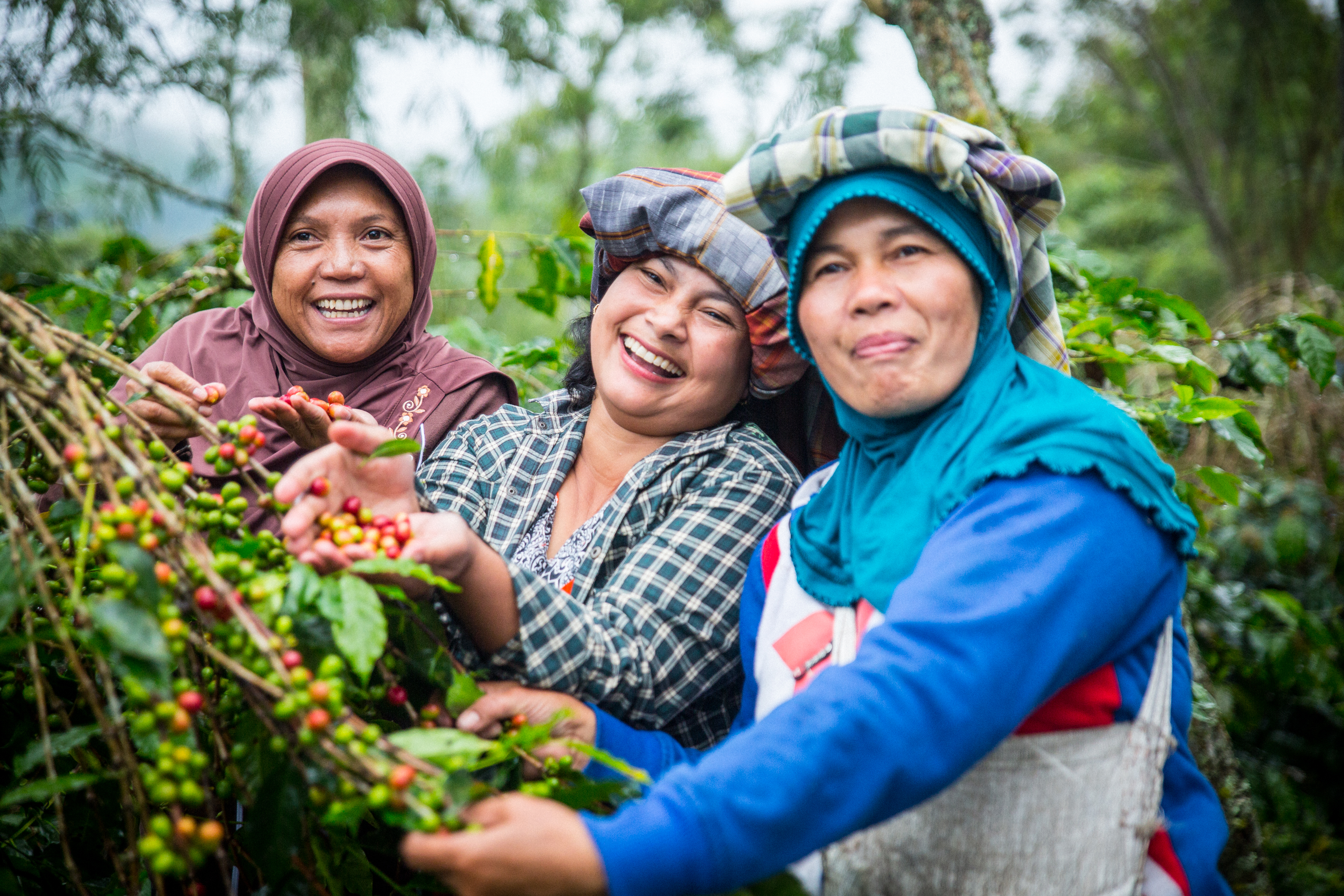 Ketiara: Advancing Women's Inclusion in Indonesia - Root Capital