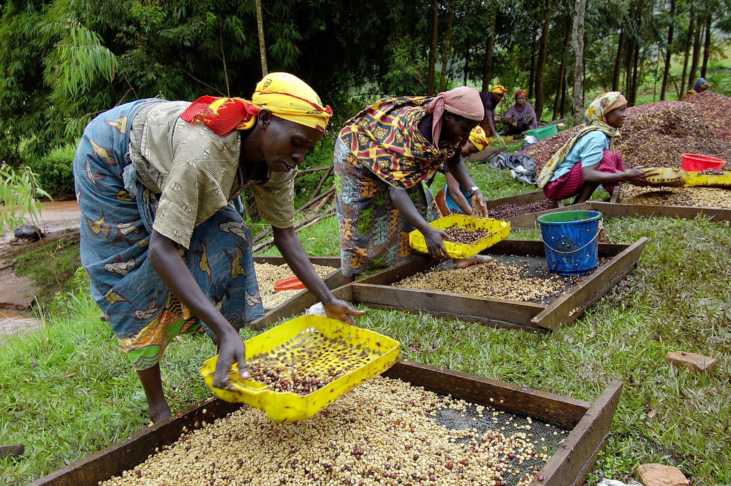 EN FOTOS: Igualdad de condiciones para las mujeres en la agricultura