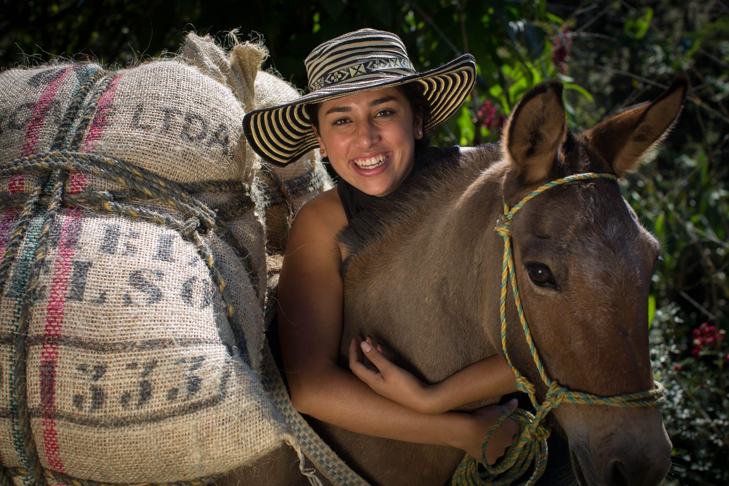 To Rebuild After Conflict, Latin American Farmers Need An Alternative to the Drug Trade