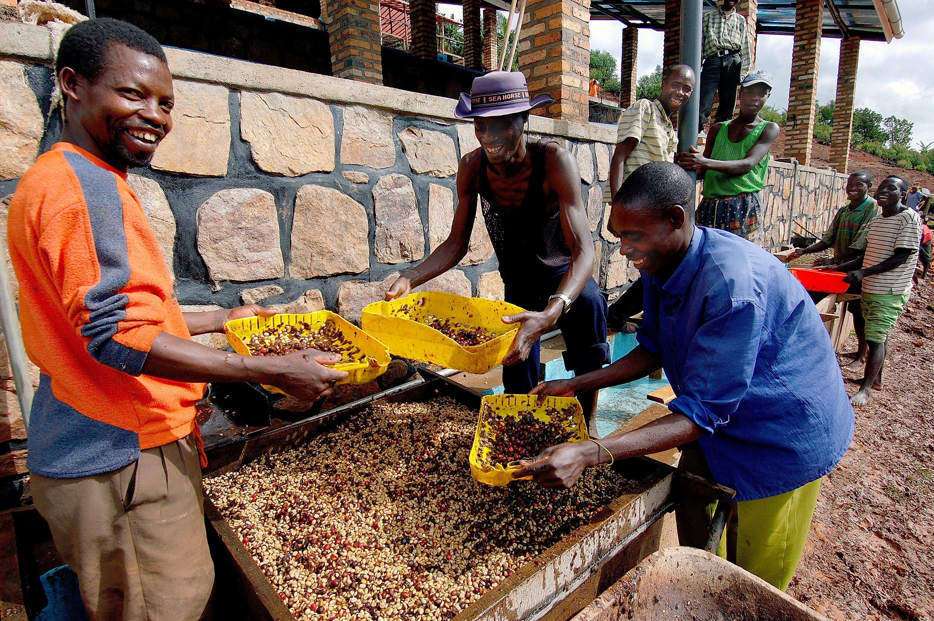 Processing coffee at Maraba Cooperative, Rwanda.