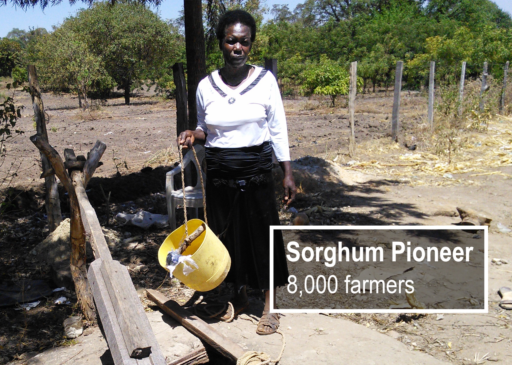 Sorghum Pioneer Agencies, Kenya