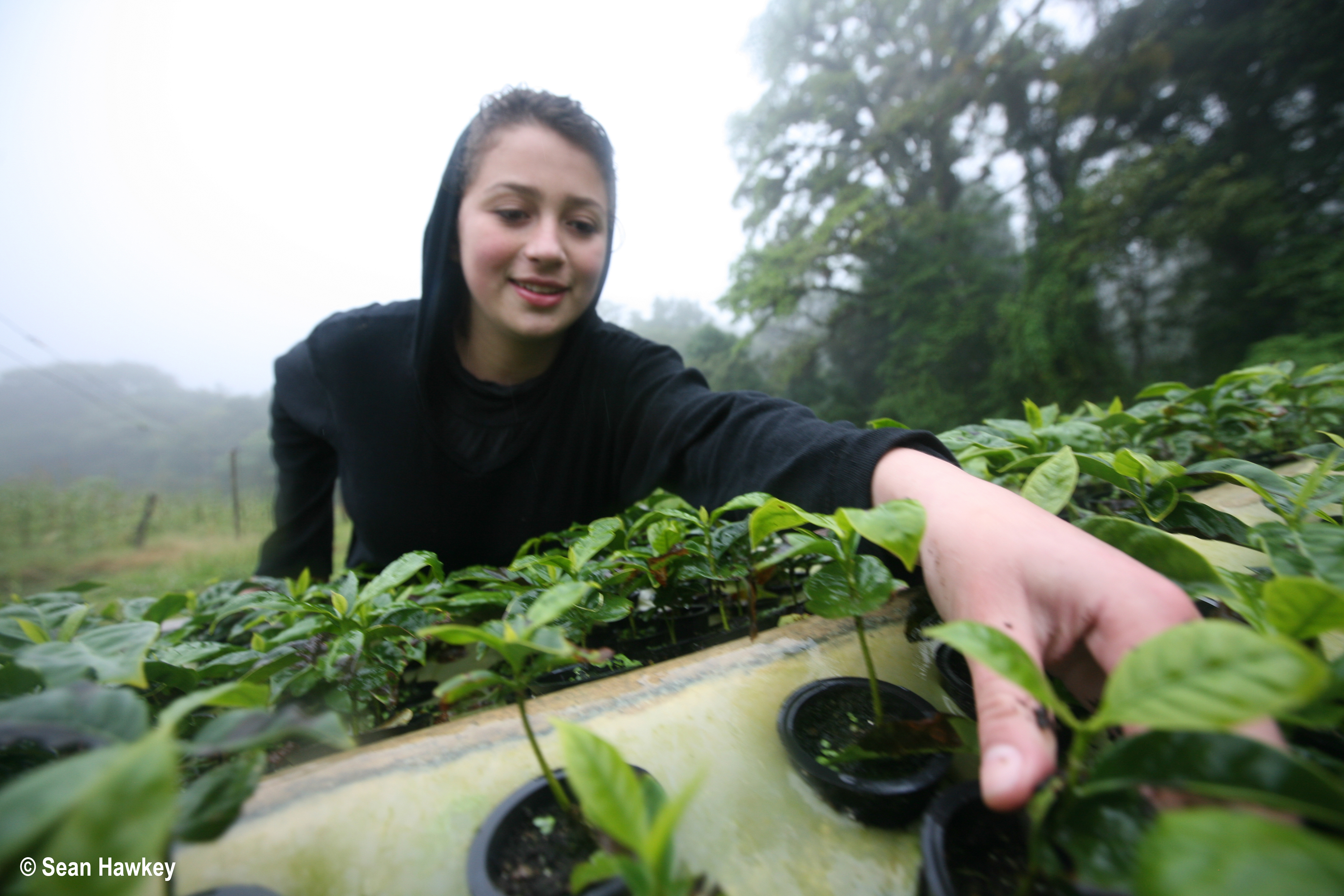 A young female coffee farmer in Nicaragua