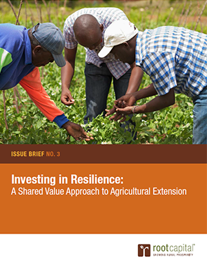 Investing in Resilience Issue Brief Cover