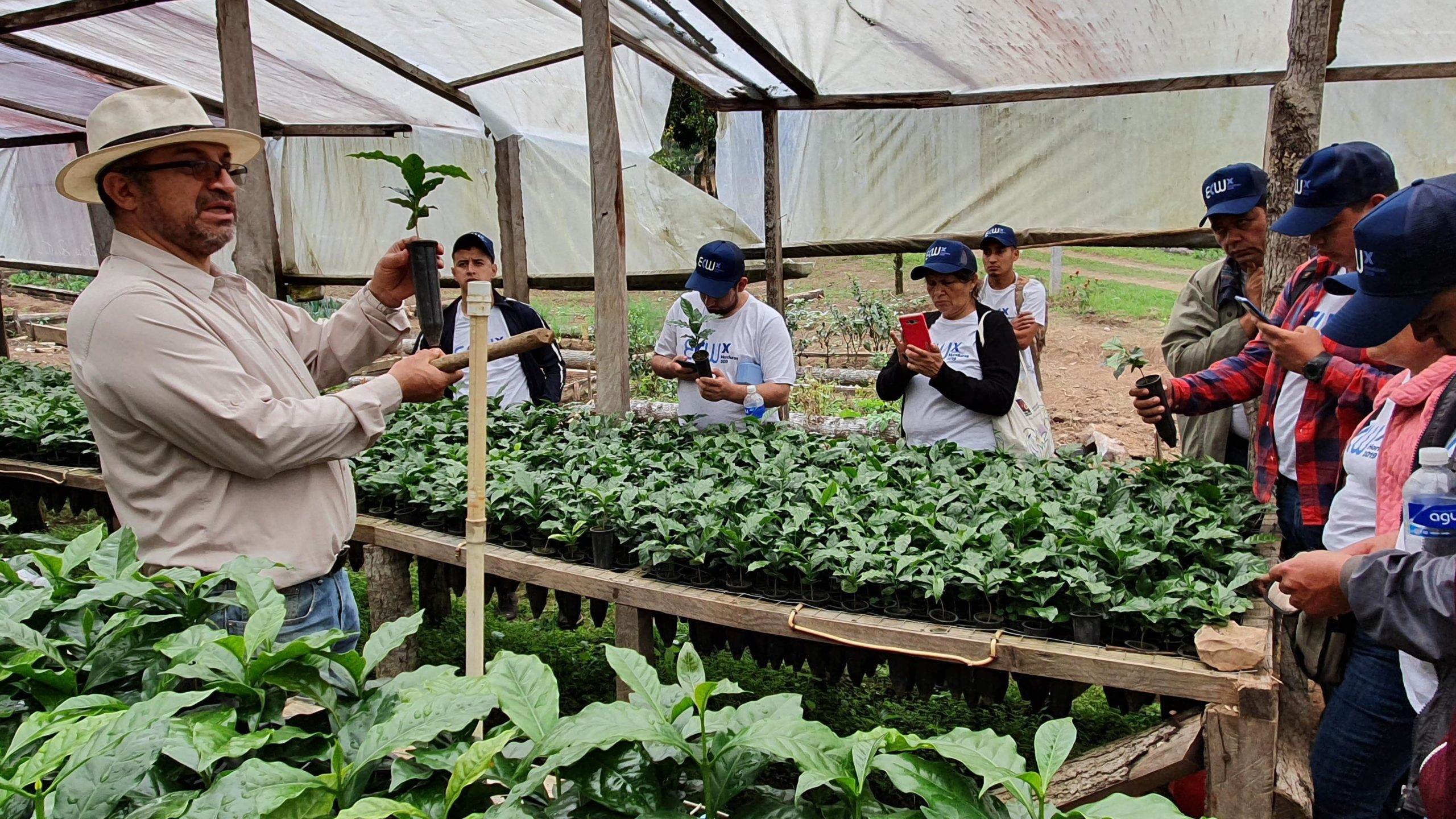 An agronomist holds up a coffee plant in a nursery while workshop participants take notes on their phones.