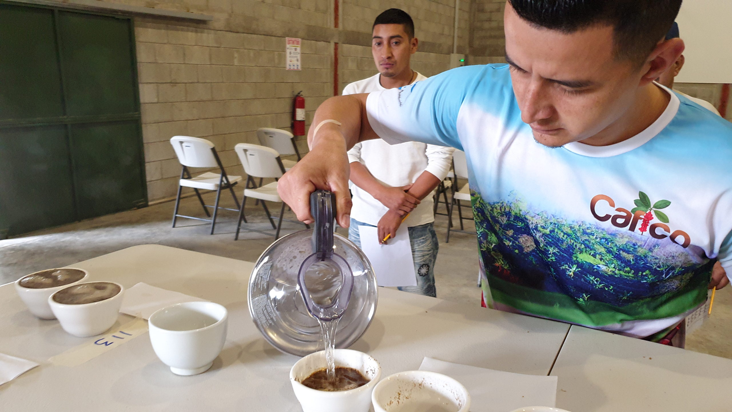 A participant sets up a cupping table as part of the sensory analysis portion of the event.