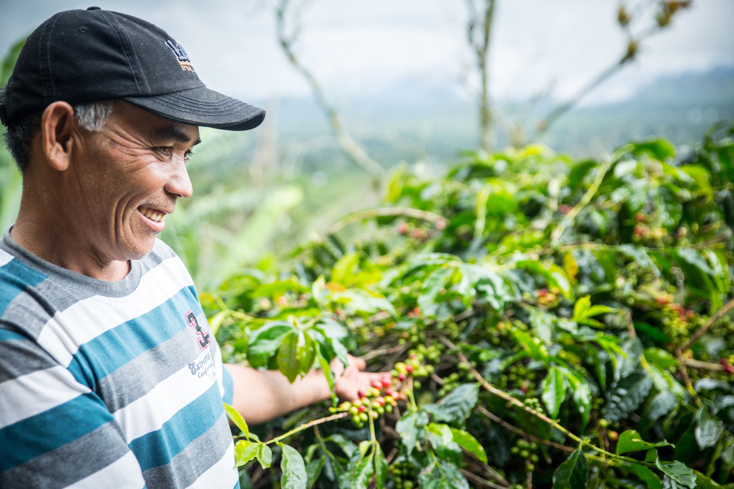 These photos were taken by Blake Dunlop in a 2015 trip to the Takengon region of Sumatra, Indonesia. These photos feature four of the five coffee cooperatives with whom we work in Indonesia.