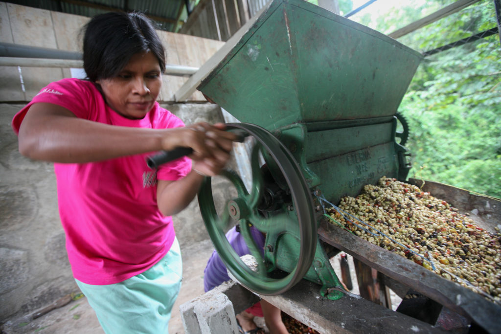 A farmer in Nicaragua processes her crops using a coffee mill.