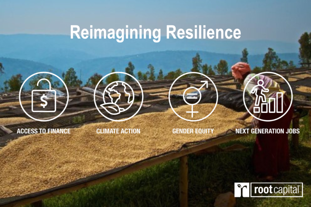 Reimagining-Rural-Resilience-1200-×-800-px