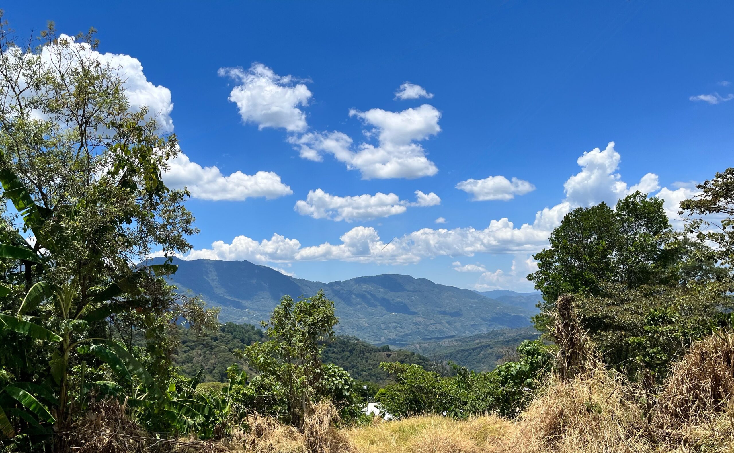 View overlooking Tenejapa Municipality in Chiapas, where Root Capital client Kulaktik is based. Credit: Root Capital