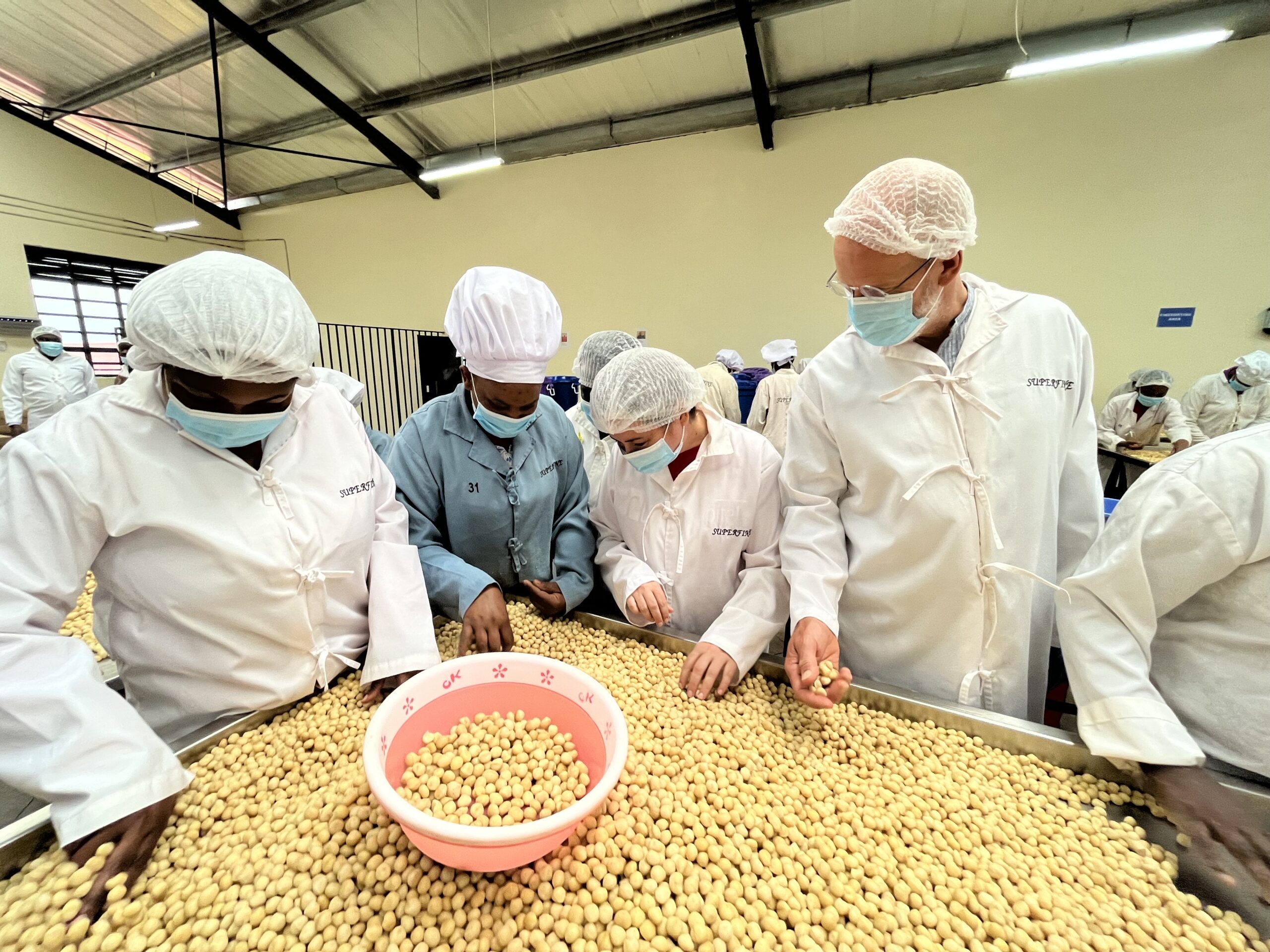 Superfine Africa Nuts employees sort macadamia nuts by hand alongside Root Capital’s Leonor Gutiérrez, Director of the Women in Agriculture Initiative, and CEO and Founder, Willy Foote. Photo credit: Root Capital
