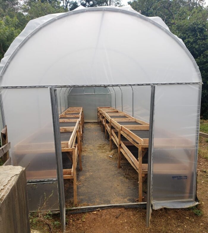 Caption: One of Flor de Café’s domed solar coffee dryers, which has helped preserve coffee quality by minimizing dust and contaminant exposure. Photo credit: Root Capital