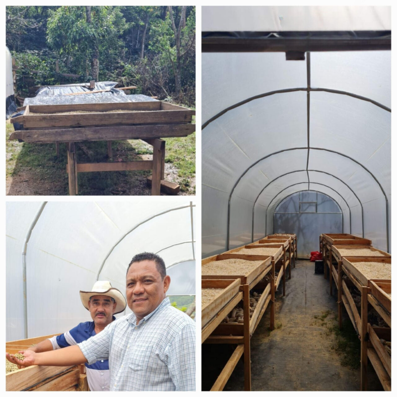 Caption: Before and after photos showing the open air coffee drying process before the construction of Flor de Café’s domed solar coffee dryers. Photo credit: Root Capital