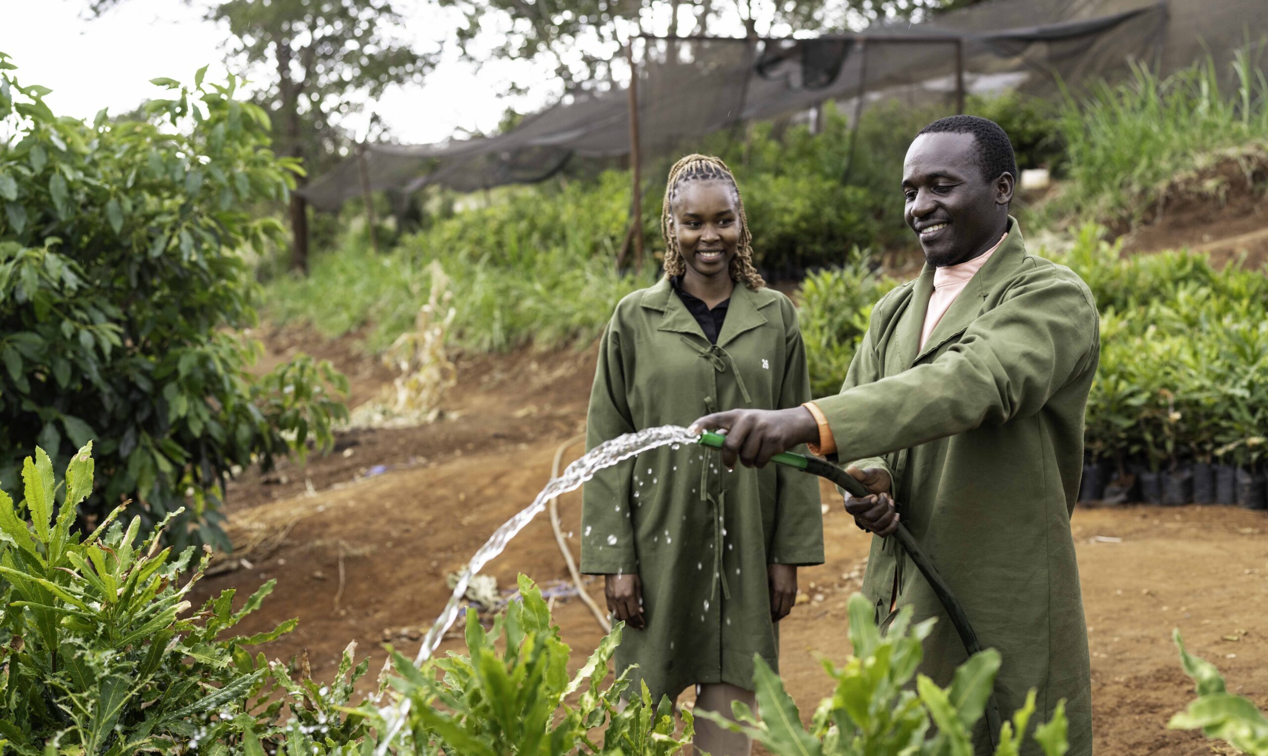 Agronomy interns Purity Kimathi and Jeremiah Nyaga use harvested rainwater to water the plants in the nursery at Jumbo Nuts Limited, a macadamia processor and Root Capital client in Kenya. Photo credit: Adam Finch/Root Capital.