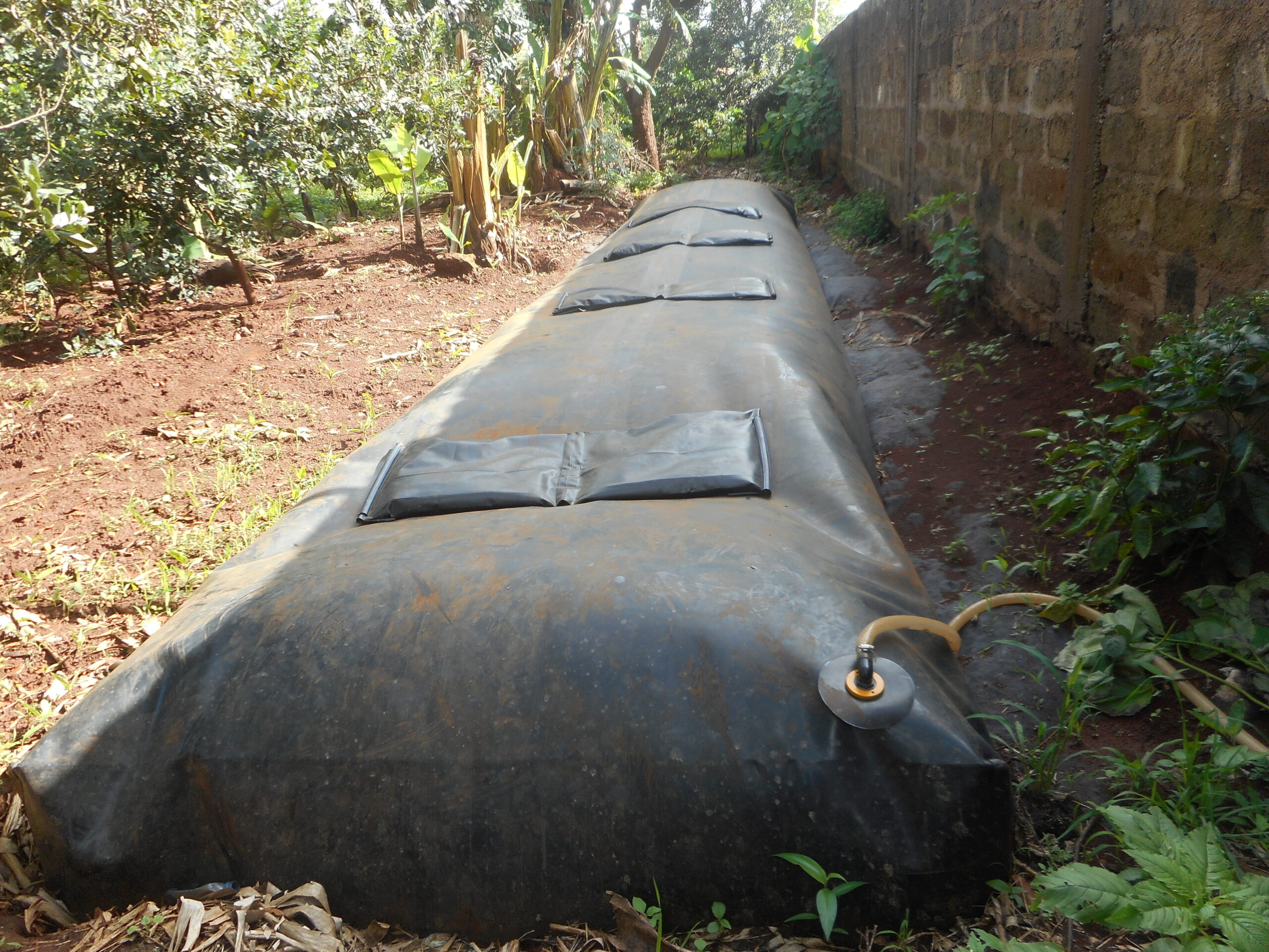 Un biodigestor—un contenedor prefabricado que convierte los residuos agrícolas en abono orgánico y combustible limpio—en la Kenia rural. Fotografía: Root Capital.