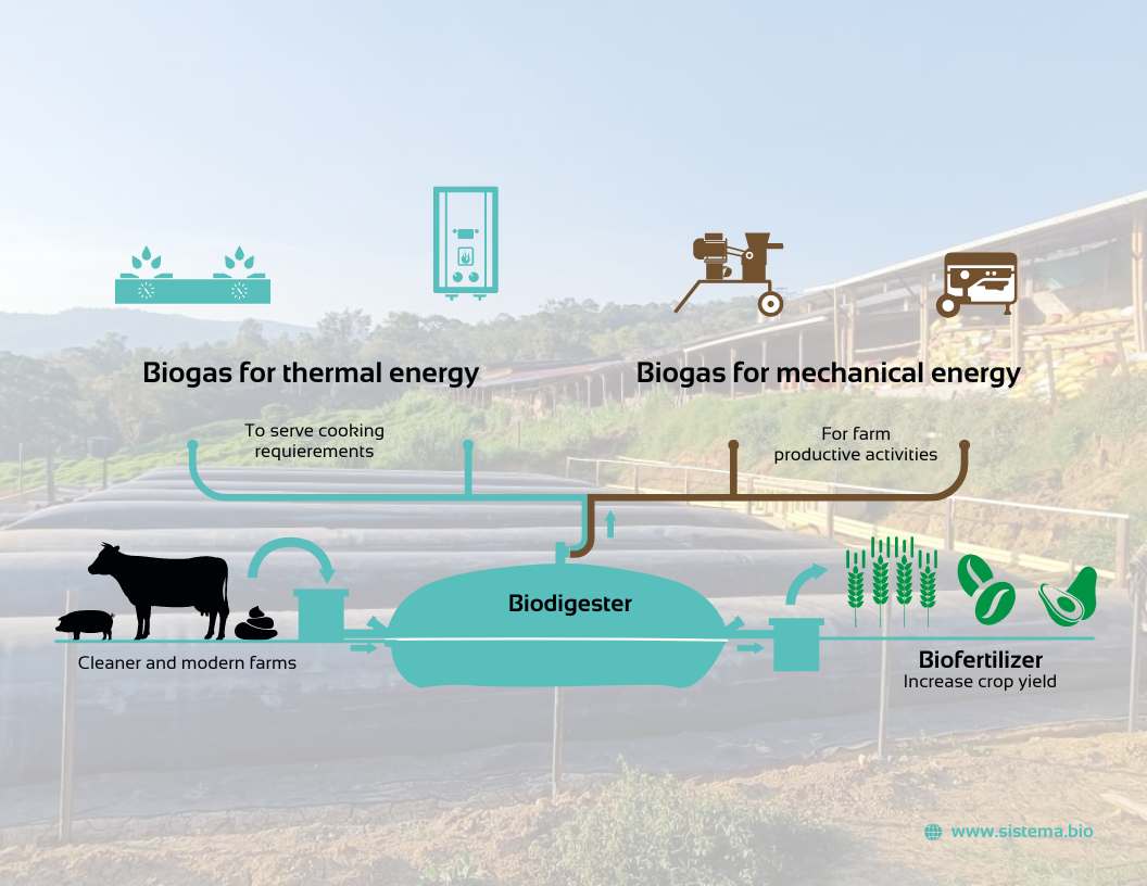 An infographic explaining the science behind biodigester systems. Credit: Sistema.bio.