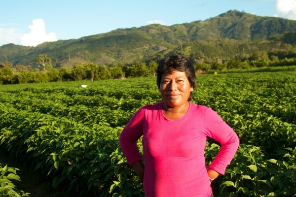 Aplicación de la perspectiva de género a la agricultura: Agricultoras, dirigentes e influyentes ocultas en la economía rural