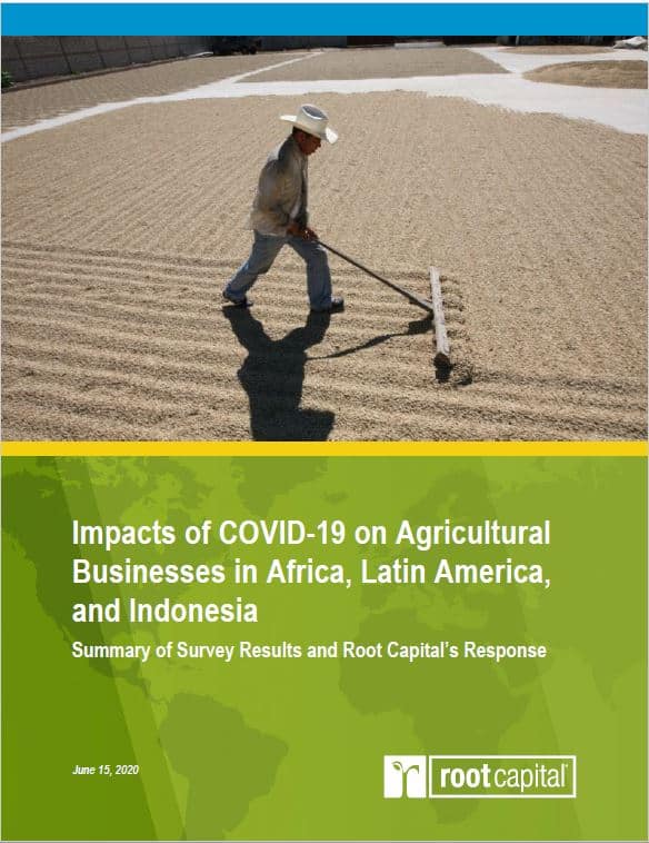 Impacts of COVID-19 on Agricultural Businesses in Africa, Latin America, and Indonesia: Summary of Survey Results and Root Capital’s Response