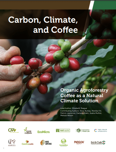 Carbon, Climate, and Coffee: Organic Agroforestry Coffee as a Natural Climate Solution