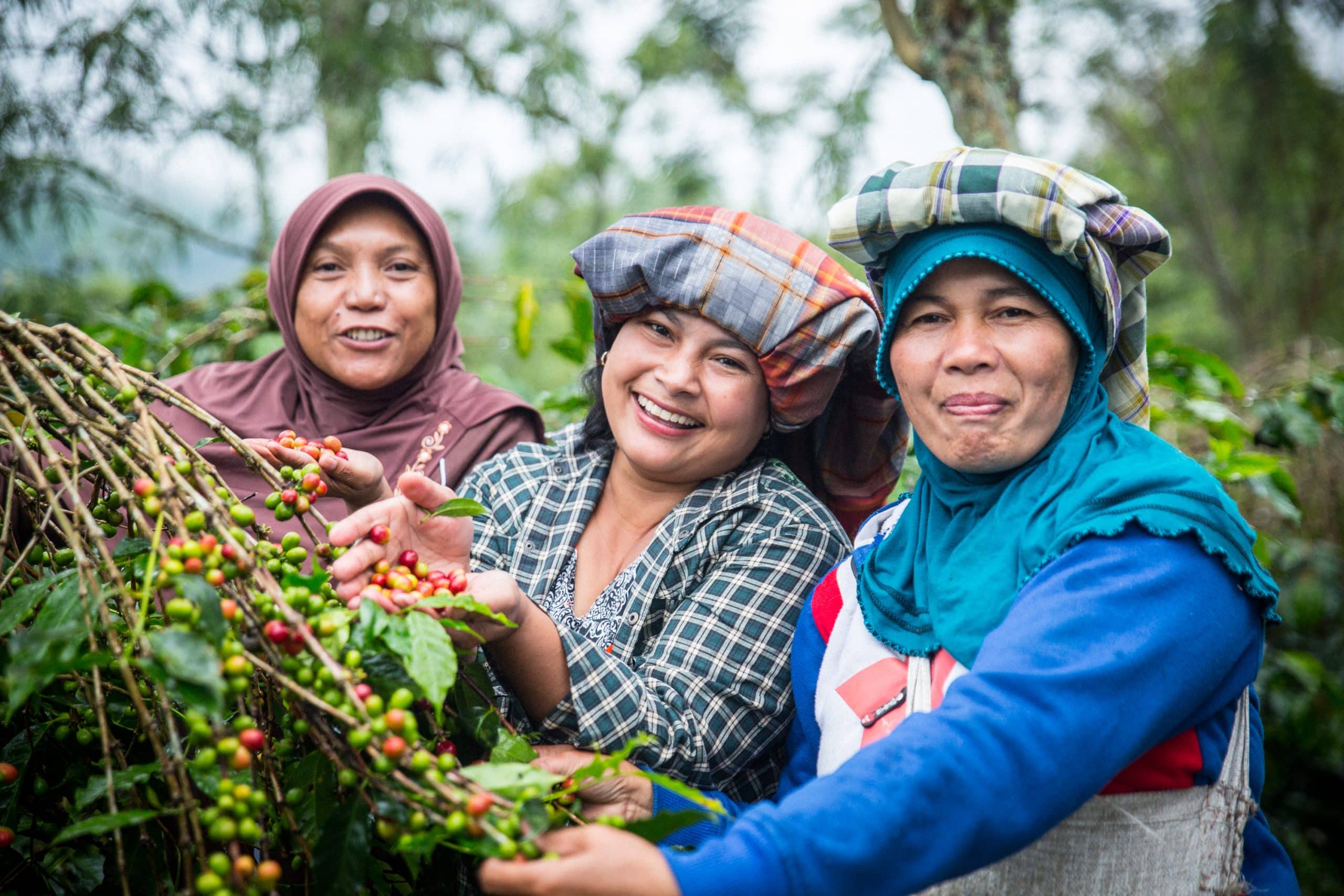 Iniciativa de las Mujeres en la Agricultura: Informe Anual 2015