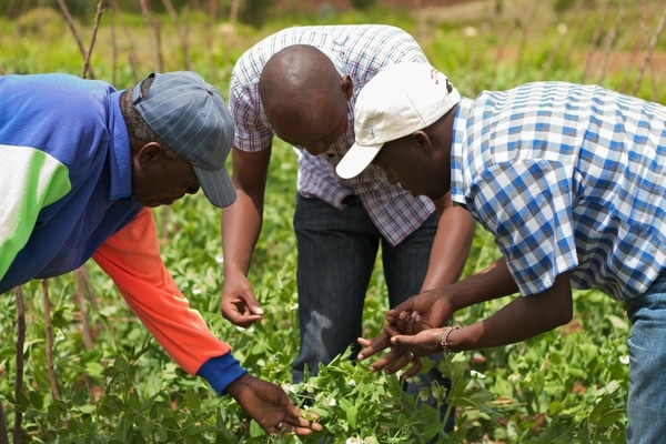 Investing in Resilience: A Shared Value Approach to Agricultural Extension