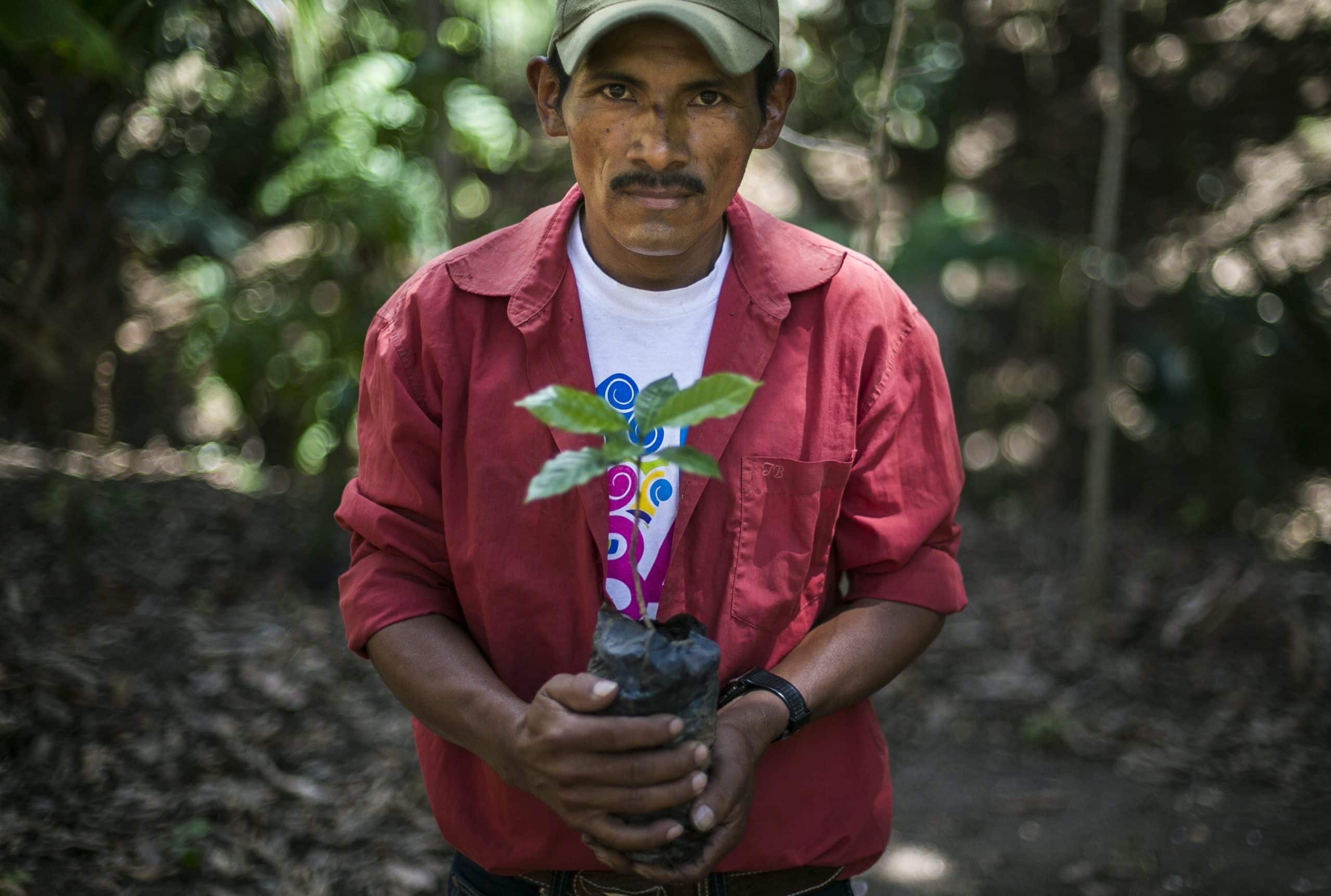 FORBES – Trump quiere recortar una agencia que ayuda a los pequeños agricultores – y hace ganar dinero a los contribuyentes de EE.UU.