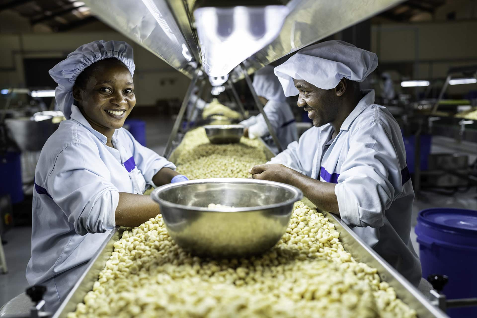 Trabajadores de Sagana Nuts, un cliente de Root Capital en Kenia, procesan macadamias.