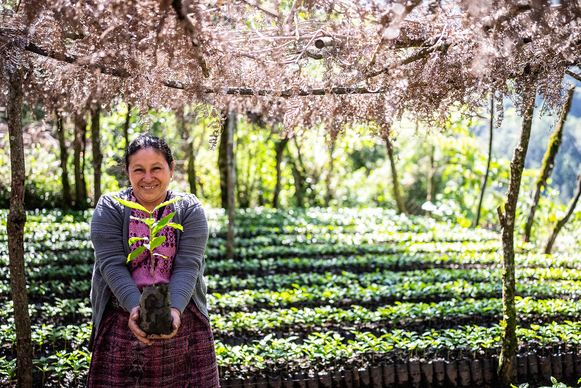  producer proudly displays her growing crops in Barillas, Guatemala.