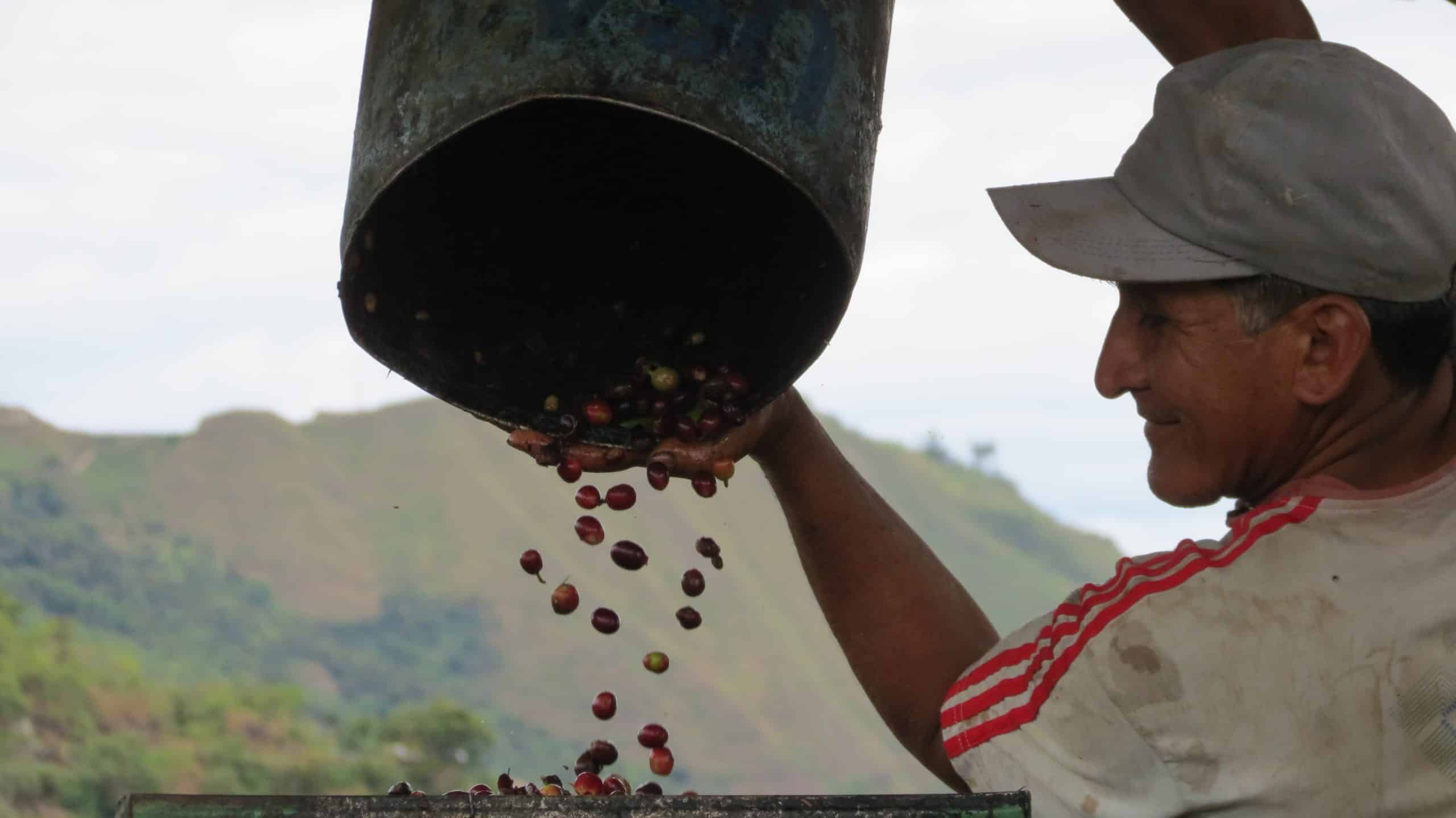 C.A.C. Chirinos: Building Long-Term Resilience to Climate Change in Peru