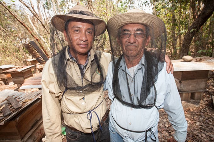 Antonio Gilberto Paz de los Santos, a technical support officer for Copiasuro, and Frutalico Antonio Peidrasanta, a cooperative member, wearing the light protective gear they use while caring for the beehives.