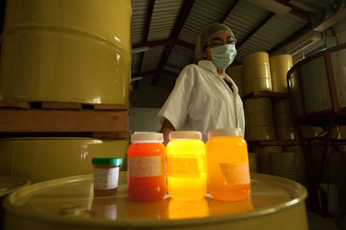 Maria Eugenia Maldonado, a cooperative administrator, stands among hundreds of honey barrels ready for export.