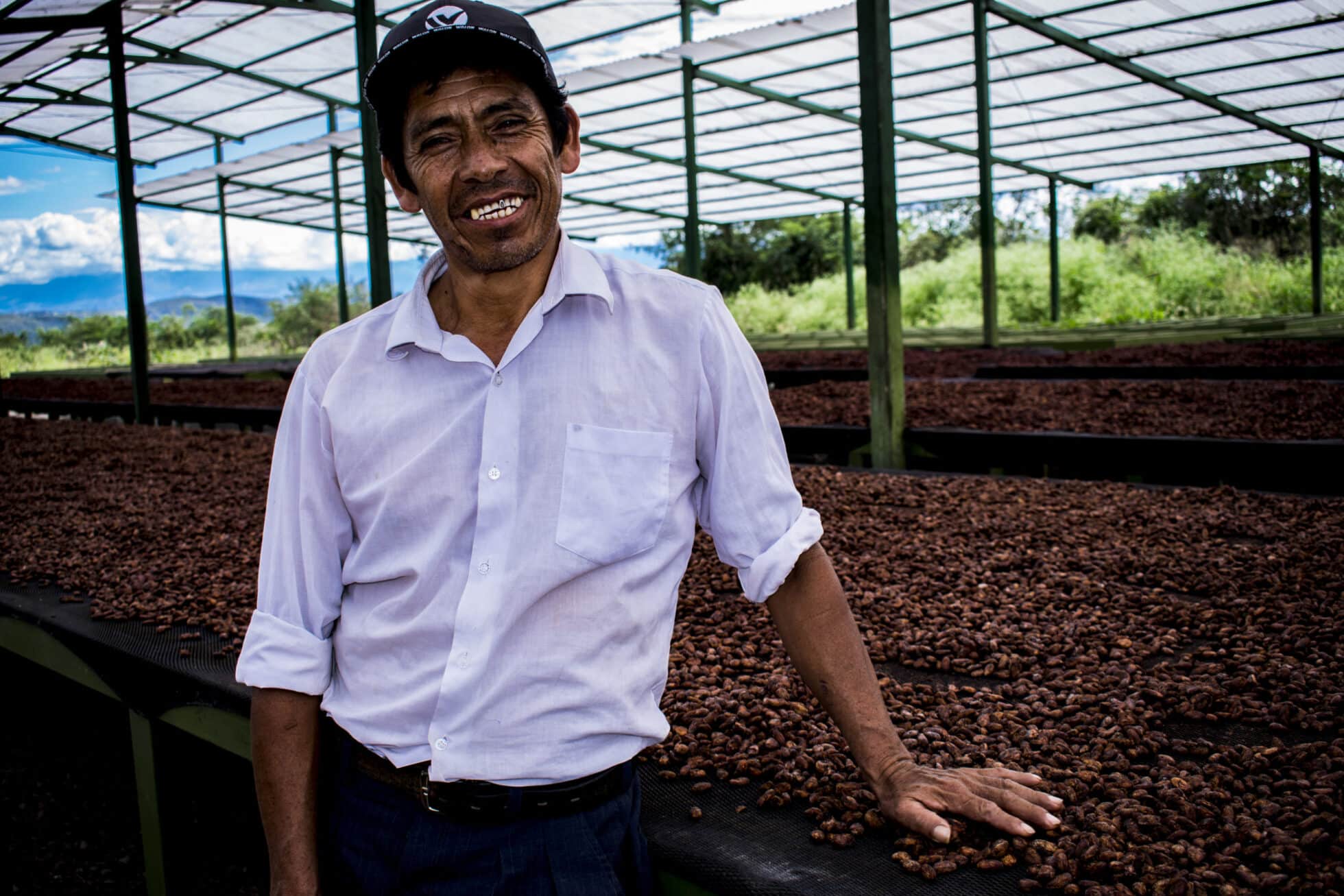 Evaluación del impacto de las empresas clientes de Root Capital en los medios de subsistencia de los pequeños agricultores: Cooperativas de cacao en Perú