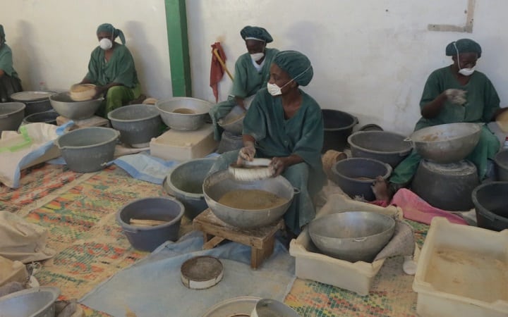Female employees at La Vivrière manually process the grain, sorting and separating fine vs. courser millet.
