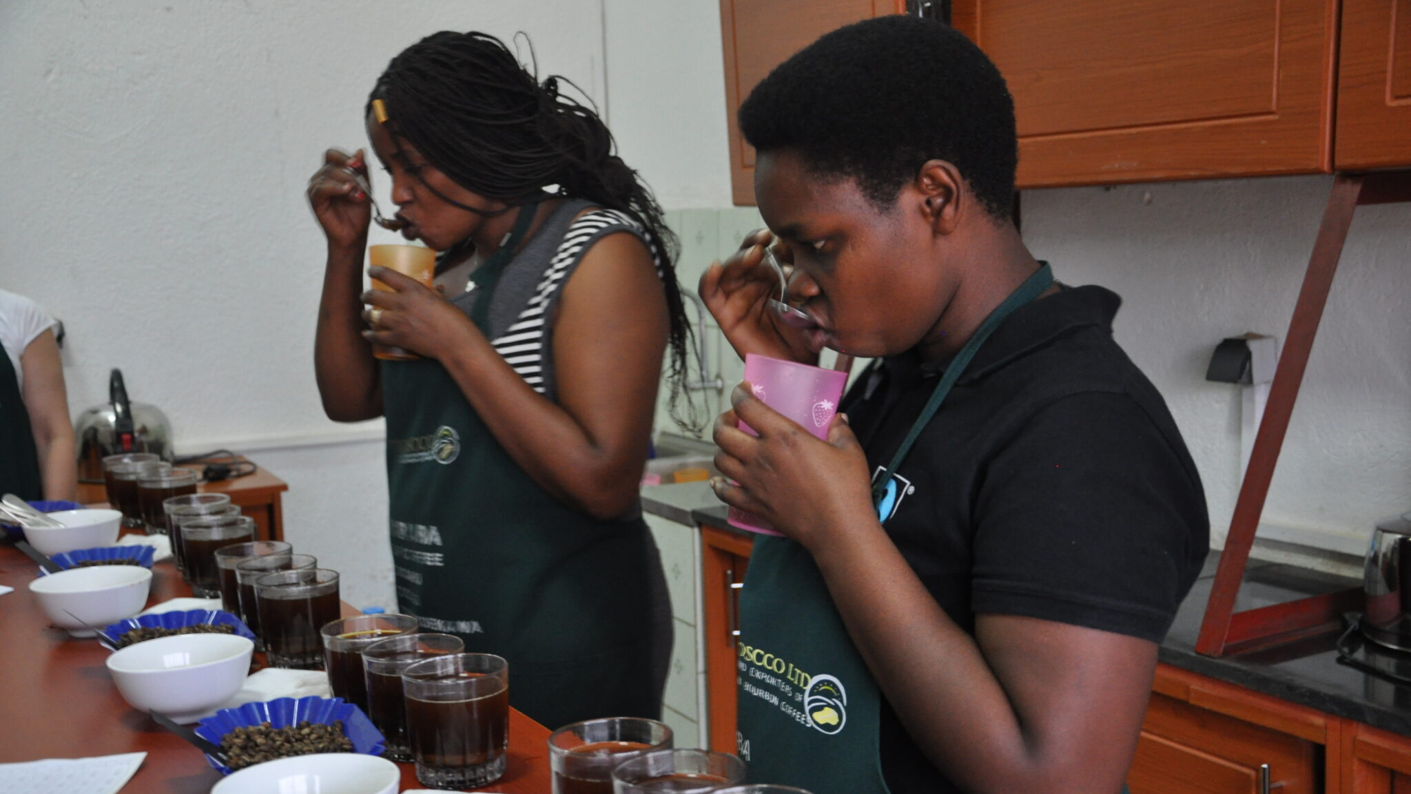 Building the Coffee Industry in Rwanda (Part 2)