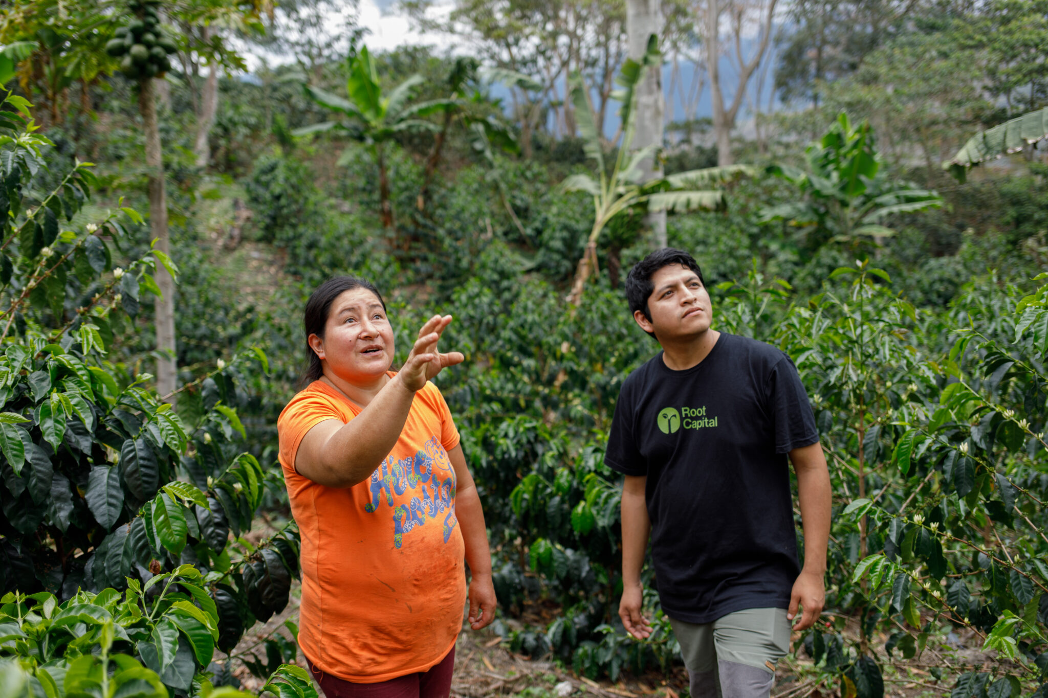 Advancing our Impact Approach for a Regenerative Future