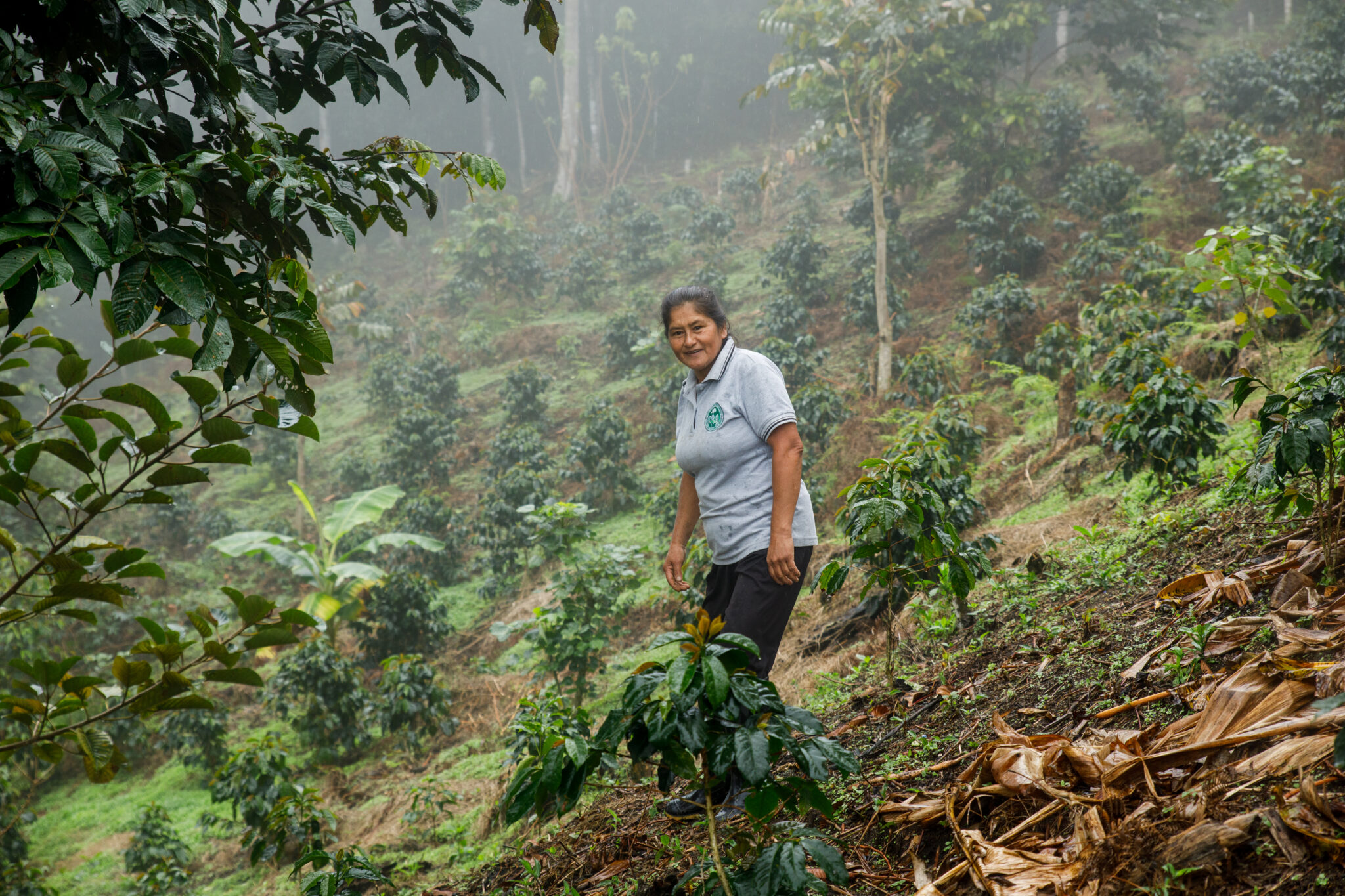 Cultivating Resilience: Regenerative Practices On the Farm (Part 1)